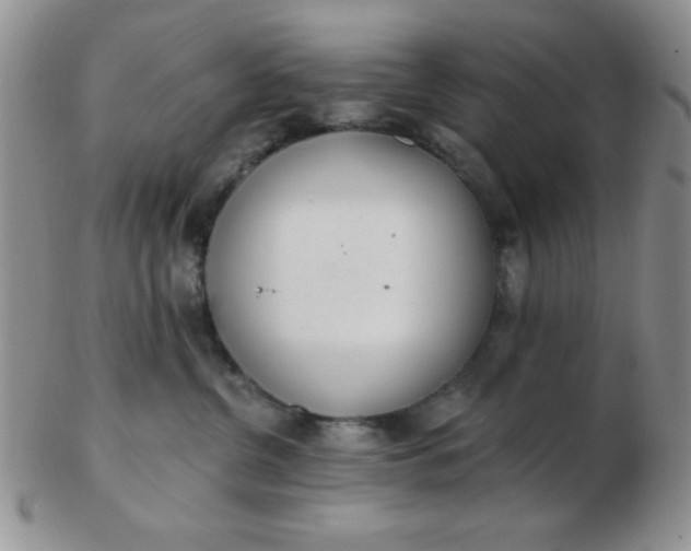 X0000103280380200809121950