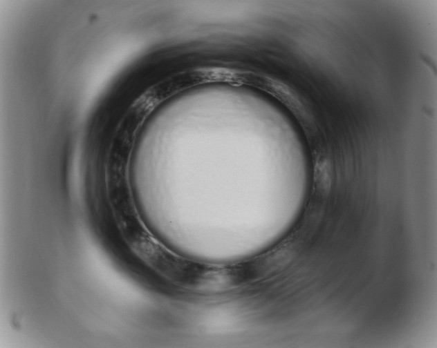 X0000103280381200809121950