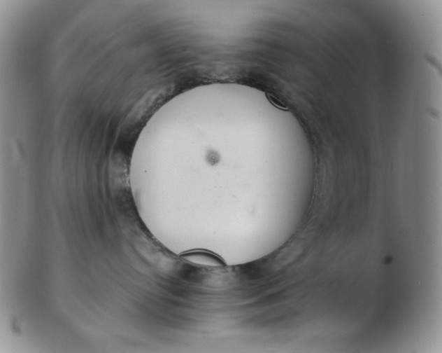 X0000103280384200809121950