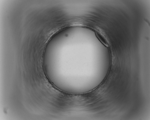 X0000103280385200809121950