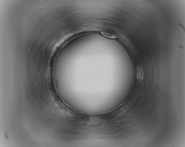 X0000103280388200809121950