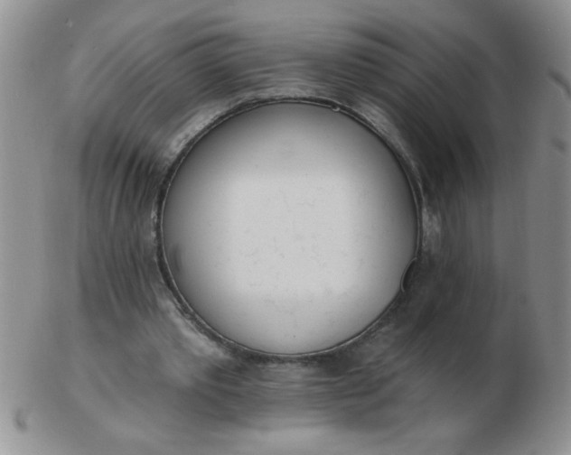 X0000103280389200809121950