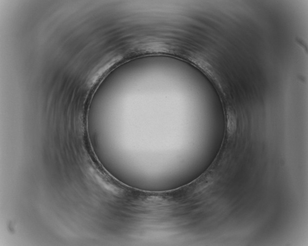 X0000103280390200809121950