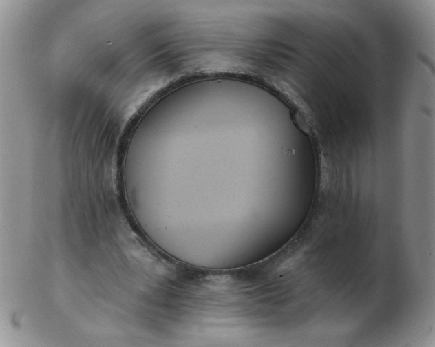 X0000103280391200809121950