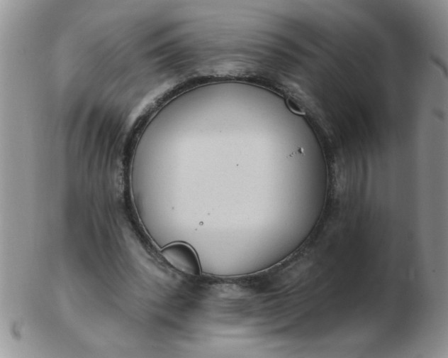 X0000103280392200809121950