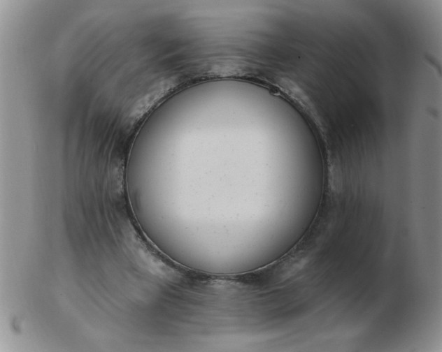 X0000103280393200809121950