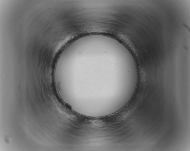 X0000103280395200809121950