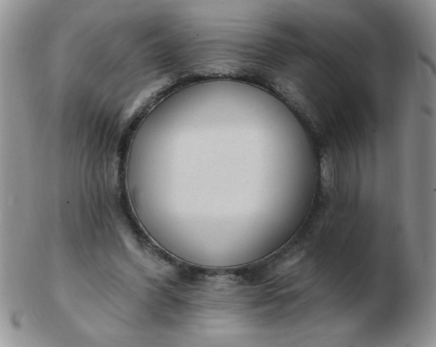 X0000103280396200809121950