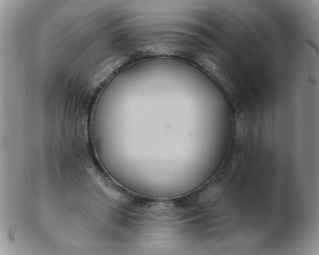 X0000103280398200809121949