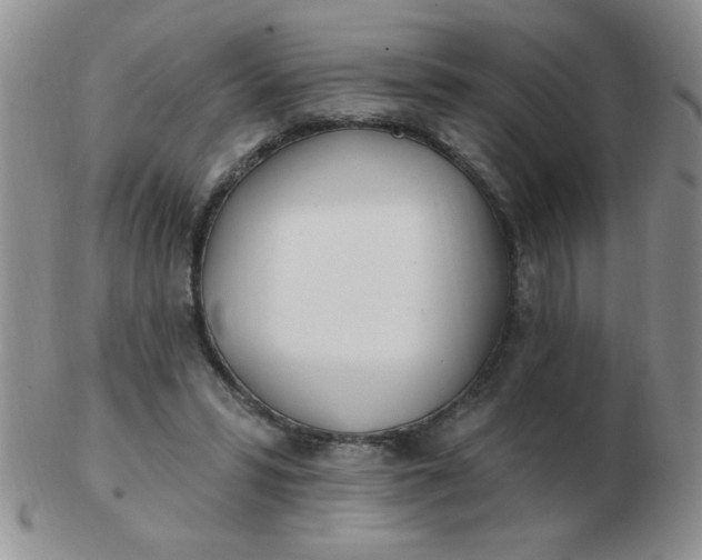 X0000103280399200809121949