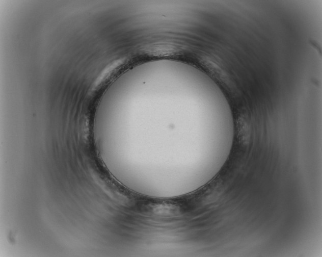 X0000103280400200809121949