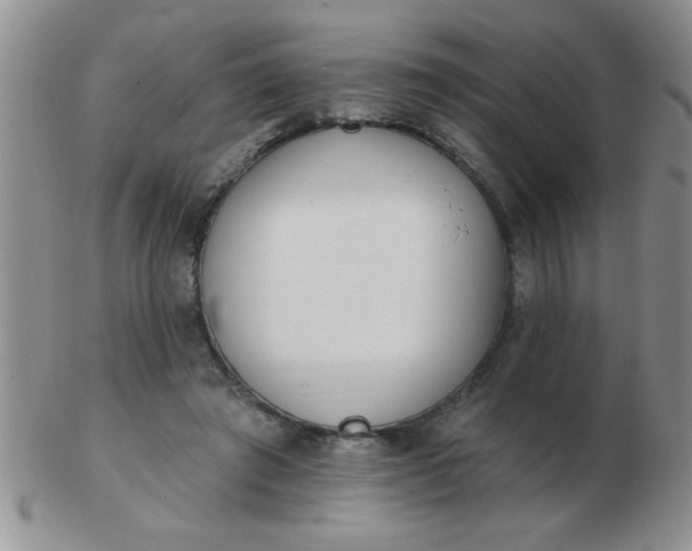 X0000103280401200809121949