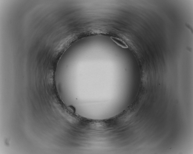 X0000103280402200809121949