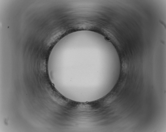 X0000103280403200809121949