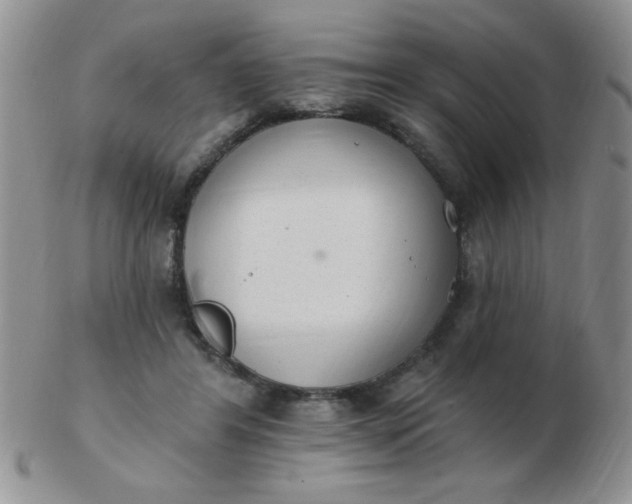 X0000103280404200809121949