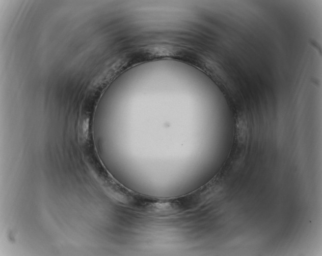 X0000103280406200809121949