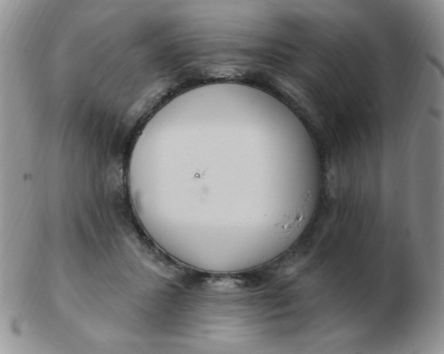 X0000103280407200809121949