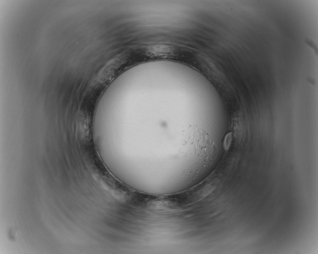 X0000103280408200809121949