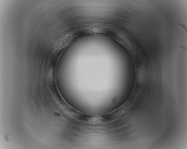 X0000103280410200809121949