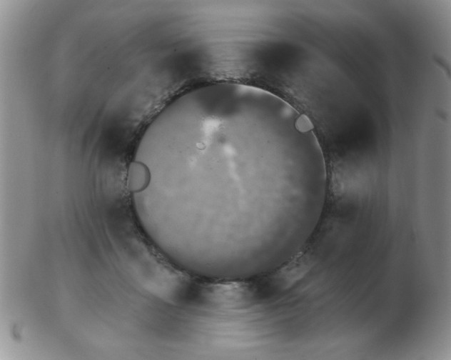 X0000103280411200809121949