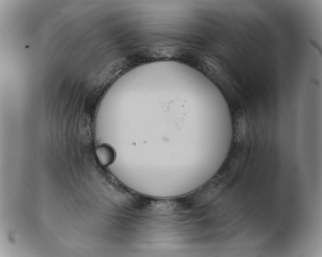 X0000103280414200809121949