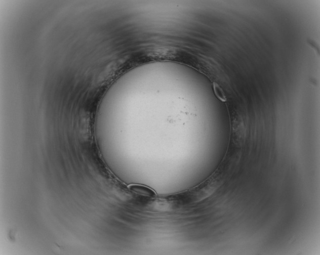 X0000103280416200809121949