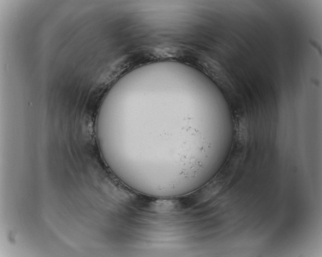 X0000103280418200809121949