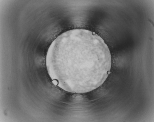 X0000103280419200809121949