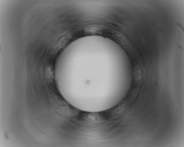 X0000103280420200809121949