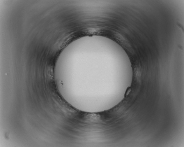 X0000103280421200809121949