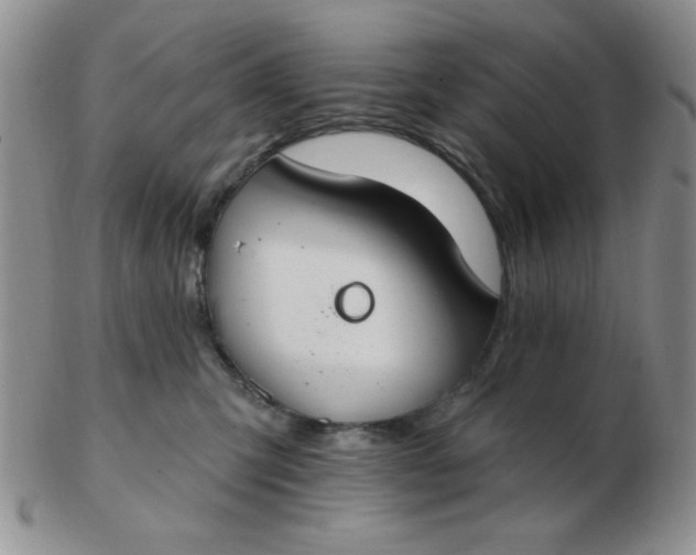 X0000103280423200809121949