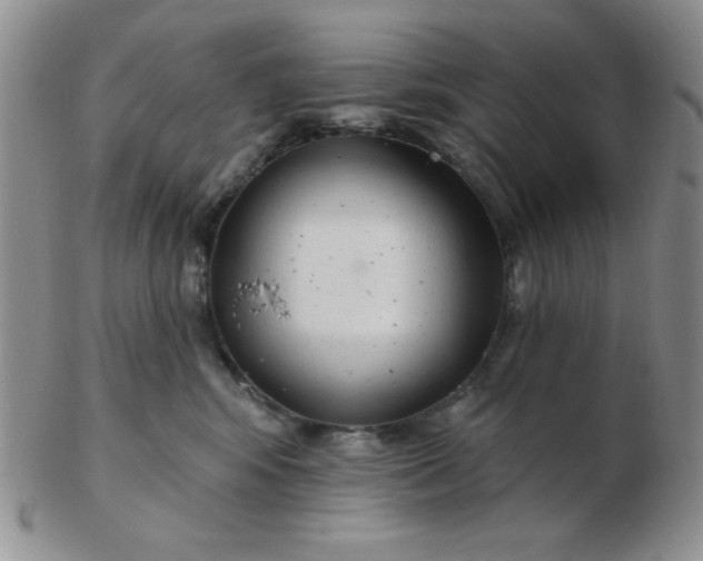 X0000103280424200809121949