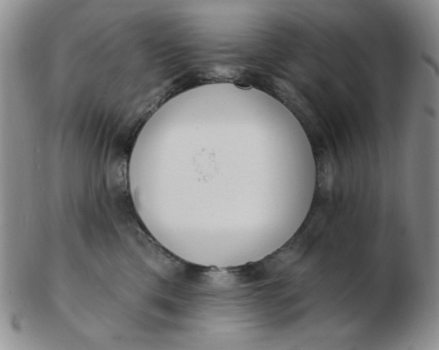 X0000103280425200809121949