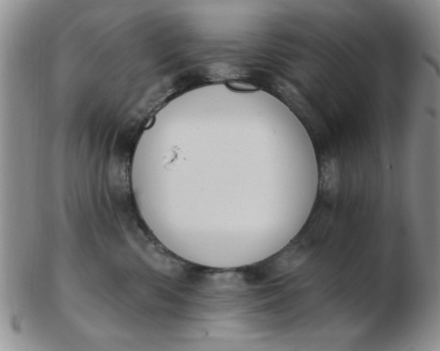 X0000103280426200809121949