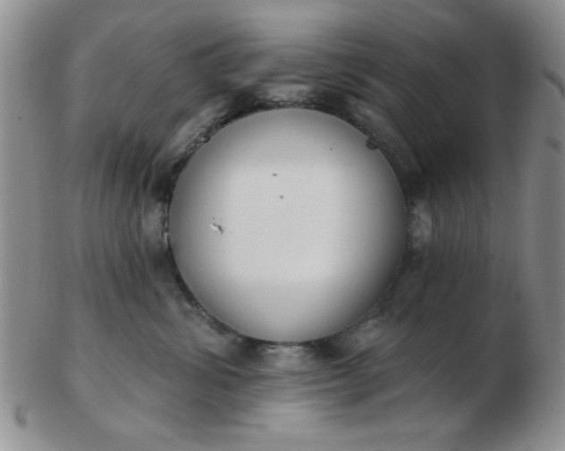 X0000103280428200809121949