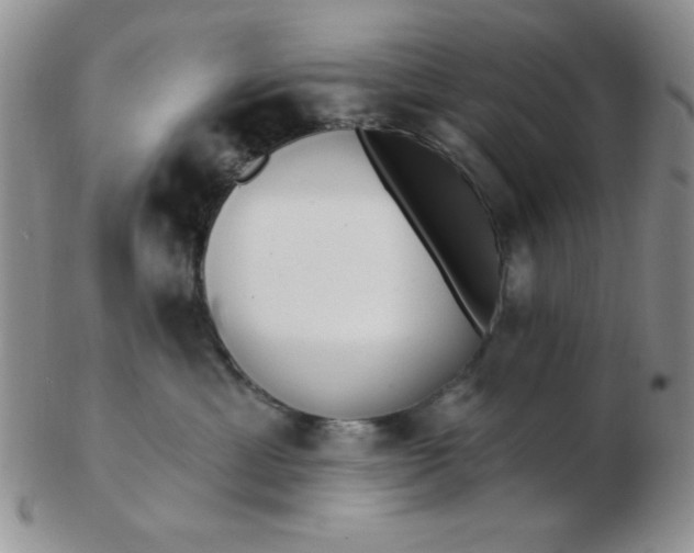 X0000103280429200809121949