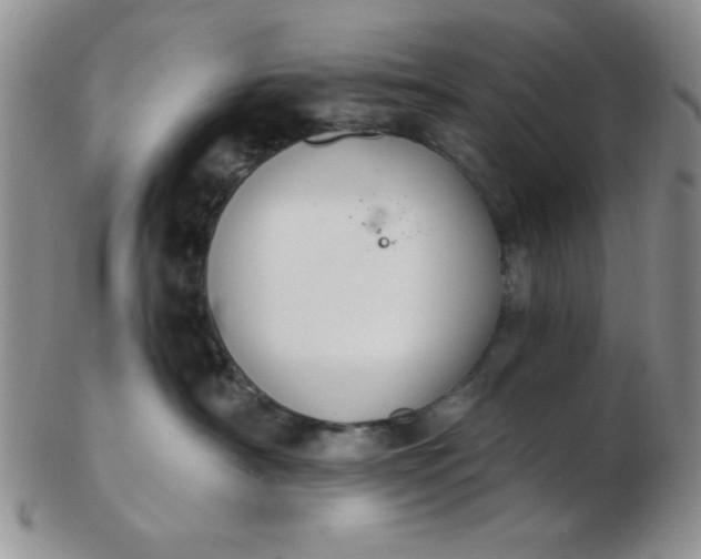 X0000103280430200809121949