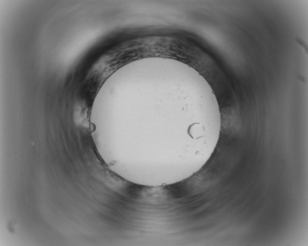 X0000103280431200809121949