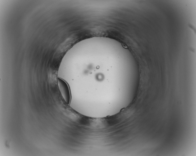 X0000103280432200809121949