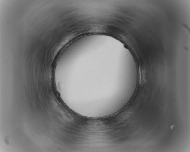 X0000103280435200809121948