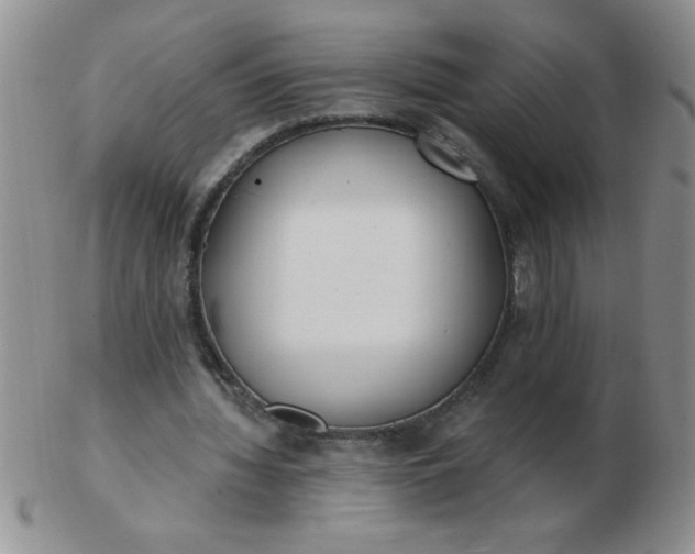 X0000103280436200809121948