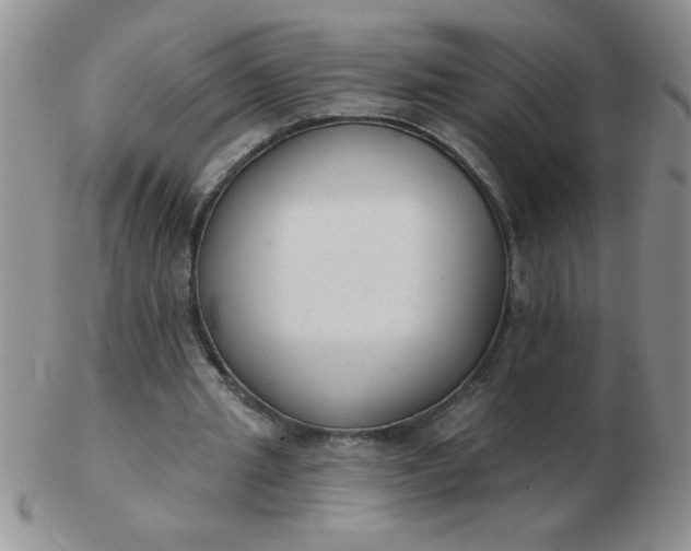 X0000103280437200809121948