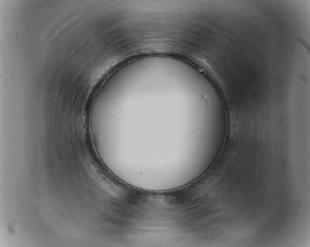 X0000103280439200809121948