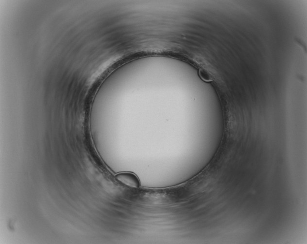 X0000103280440200809121948