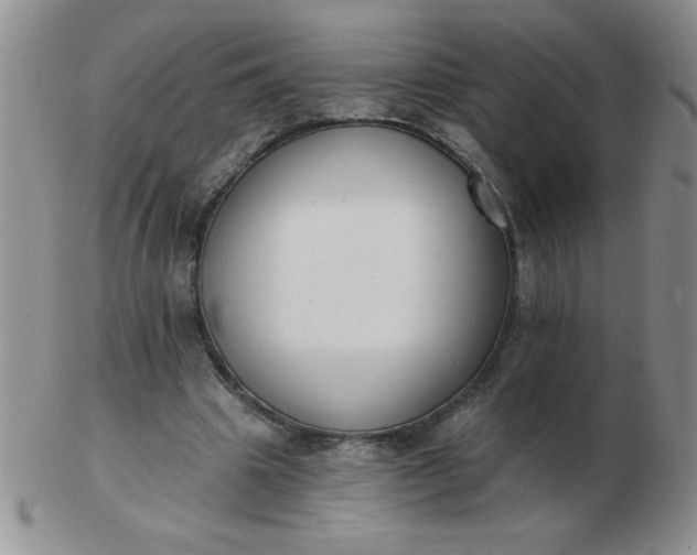 X0000103280441200809121948