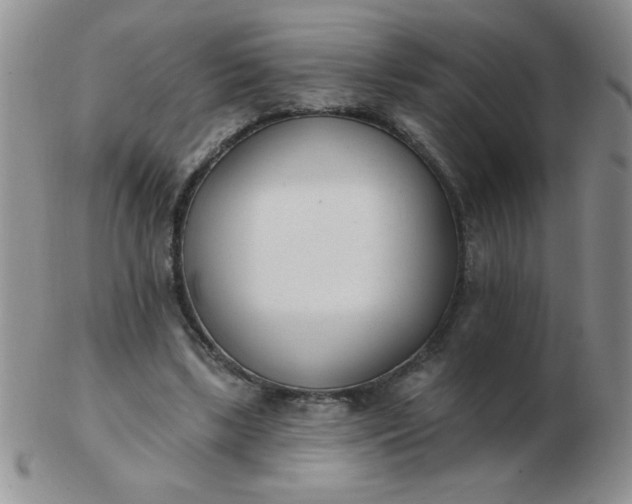 X0000103280443200809121948