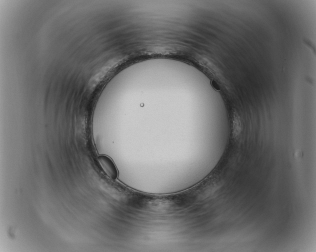 X0000103280444200809121949