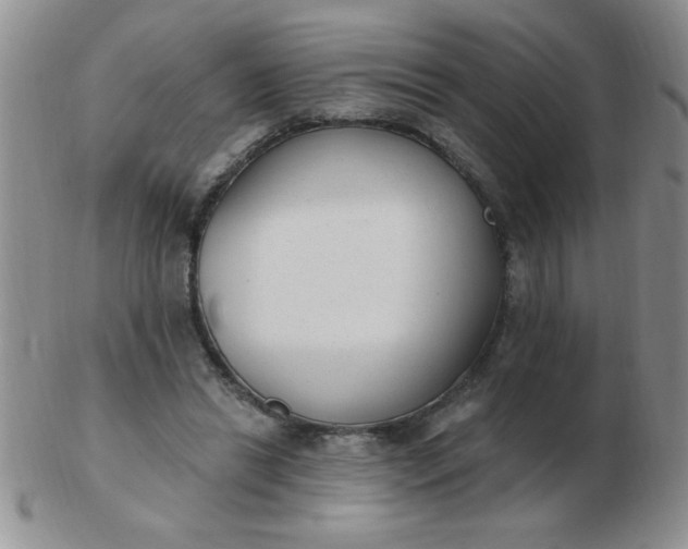 X0000103280446200809121949