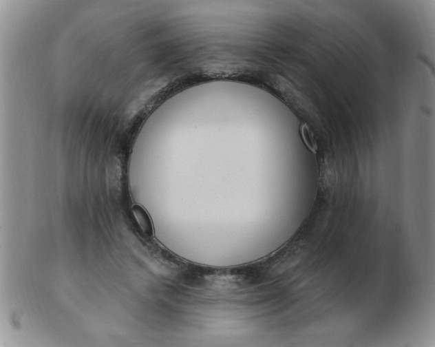 X0000103280448200809121949