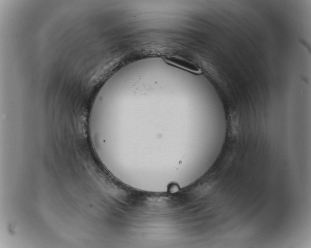 X0000103280450200809121949